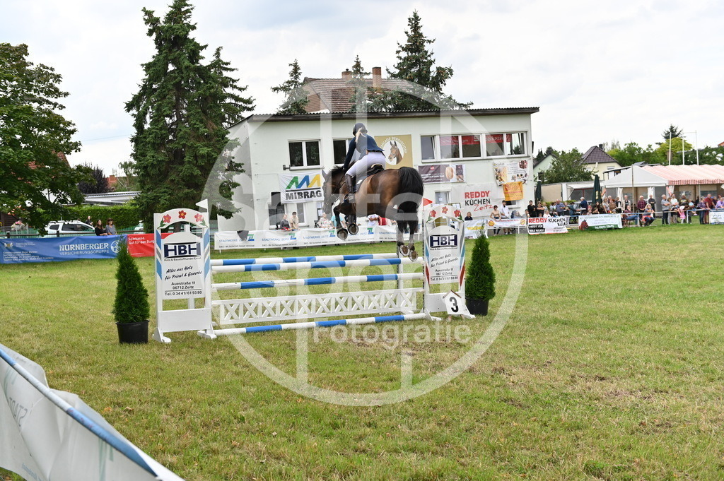 DSC_3375 | sattelsport - Realisiert mit Pictrs.com