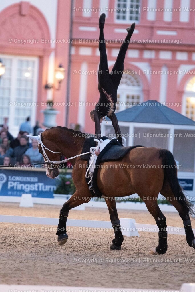 20230527_Voltigieren_NASPA_Flutlicht_0460 | equistock