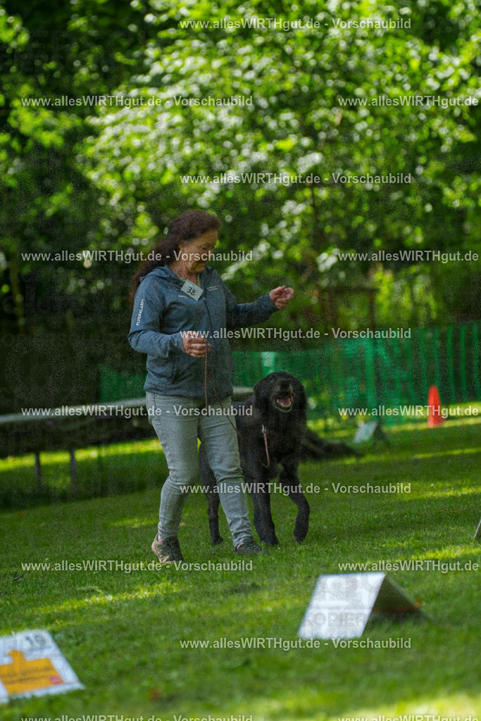 @allesWIRTHgut_Tierfotografie - www.allesWIRTHgut.de - 7R504702 | Professionelle Tierfotografie in Mönchengladbach von Daniel Wirth (allesWIRTHgut). Liebevolle & natürliche Bilder von Hunden & Katzen für unvergessliche Erinnerungen.