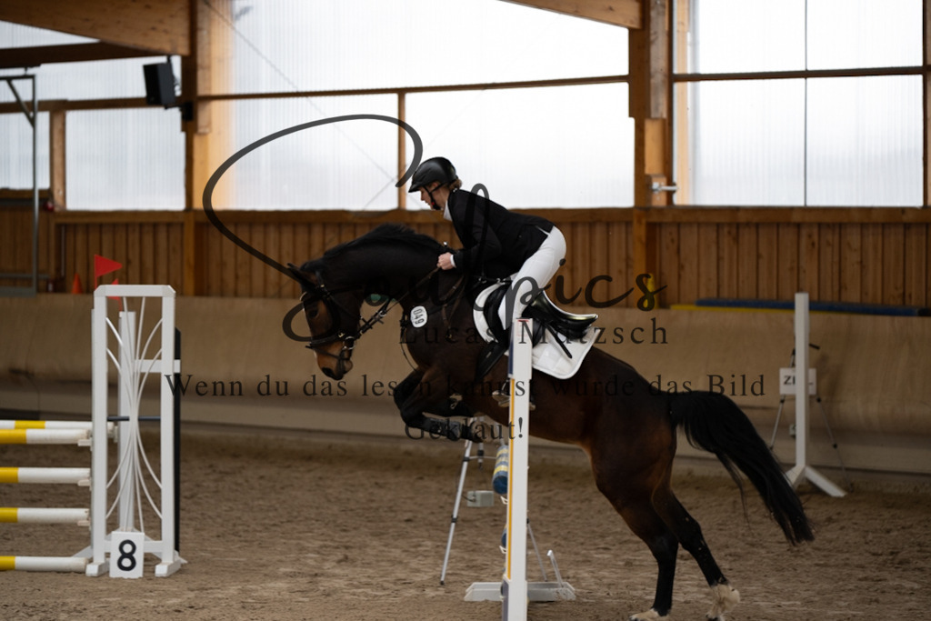 A7V00475 | Pferdefotograf