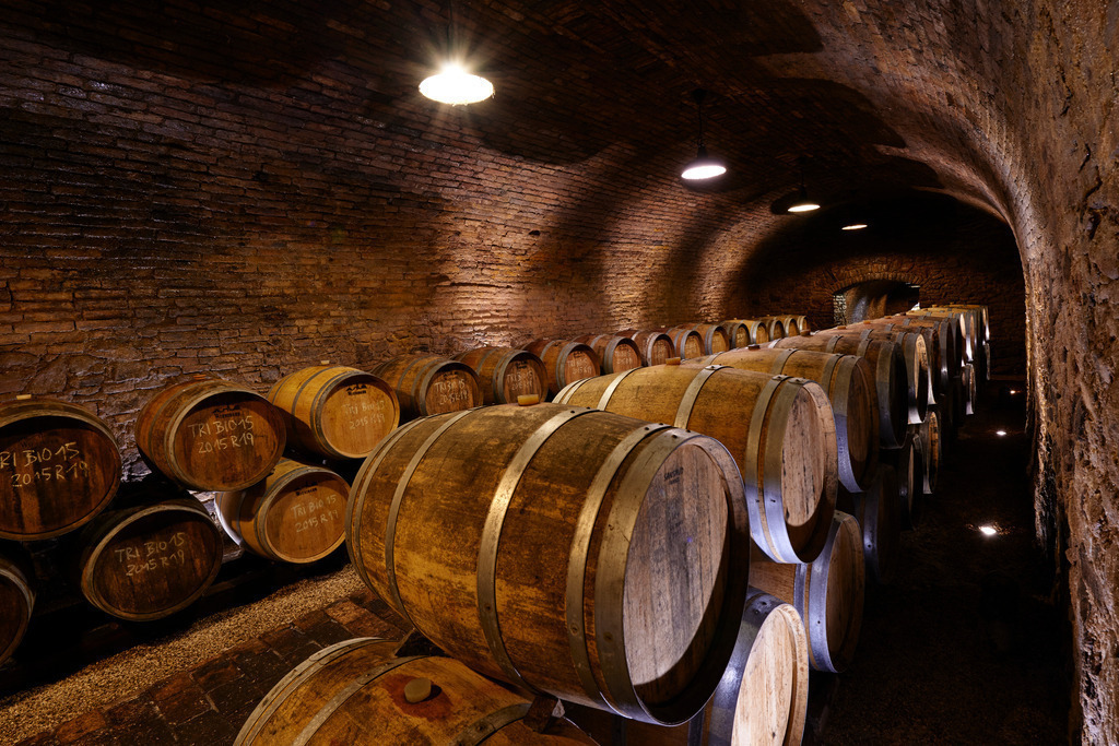 Weingut Wieninger Weinkeller | Wien, Austria - April 27, 2017: Weingut Wieninger, Holzfässer im Alten Weinkeller. - Realisiert mit Pictrs.com