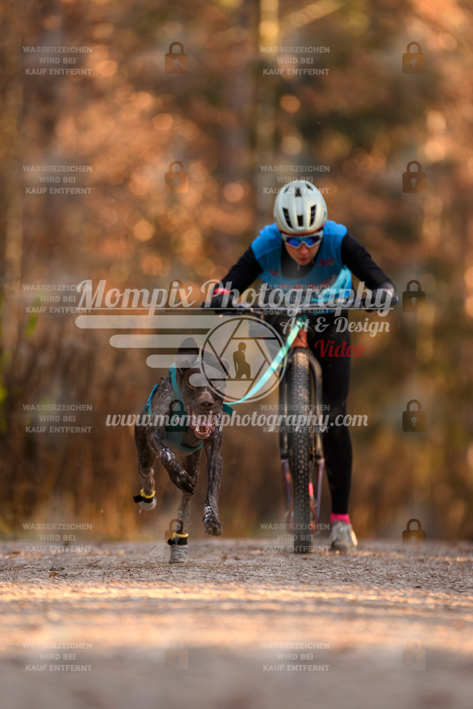 MompixPhotography_DM_AKDM_SO_2025_Scooter-143 | PayLife