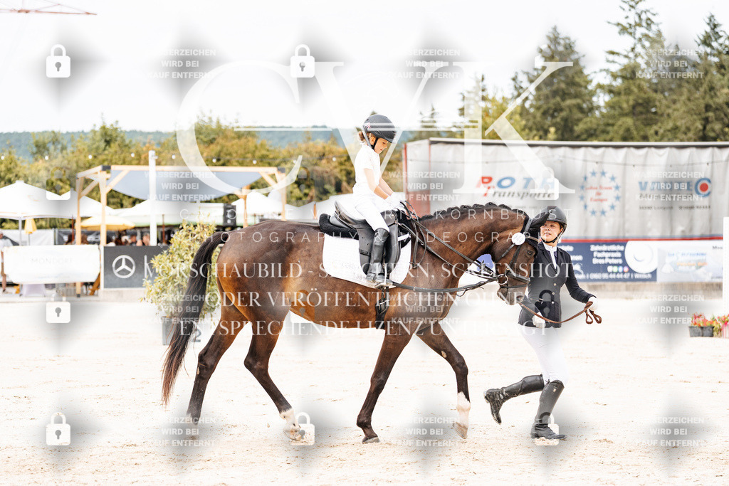 CK907054 | Turnierfotografie Pferdefotografie Trier Rheinland-Pfalz Pferdesport Reitsport Tierfotografie Sportfotografie Pferdevideo Pferdevideografie Equestrianvideography equestrianphotography  - Realisiert mit Pictrs.com