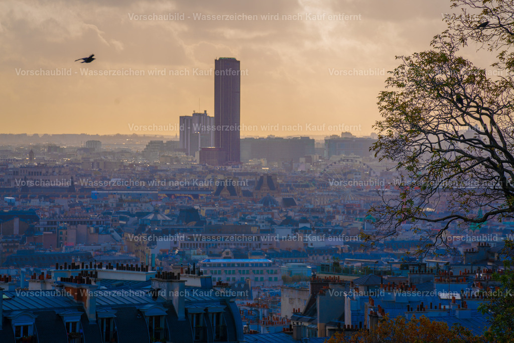 DSC09207 | marcuslinek