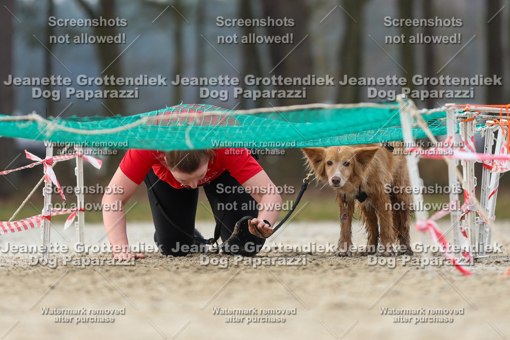 Dog Paparazzi - Strongdog North Mrz26-4401 | Dog Paparazzi Jeanette Grottendiek Fotografie & Videografie - Realisiert mit Pictrs.com