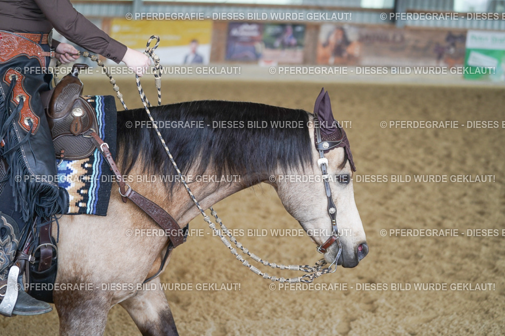 DSC00236 | Pferdegrafie