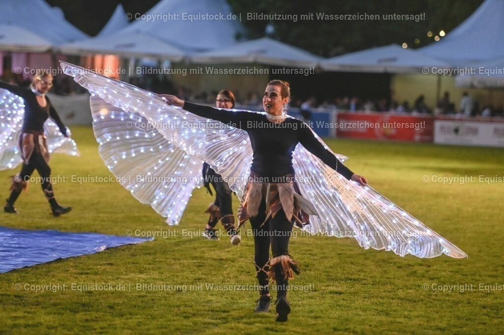 20230526_Pferdenacht_0831 | equistock