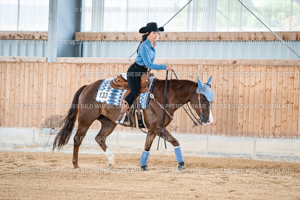 DSC08599 | Pferdegrafie