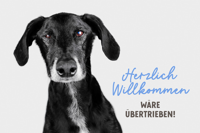 Luke heißt dich nicht Willkommen! | "Herzlich Willkommen wäre übertrieben!"