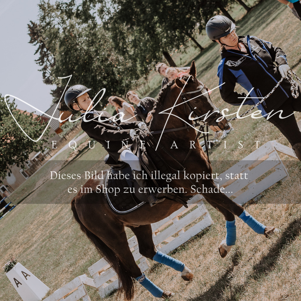 DSC_4543 | Pferde- und Turnierfotografie in Westsachsen. Pferdeportraits, Auftragszeichnungen und intuitive Kunst.