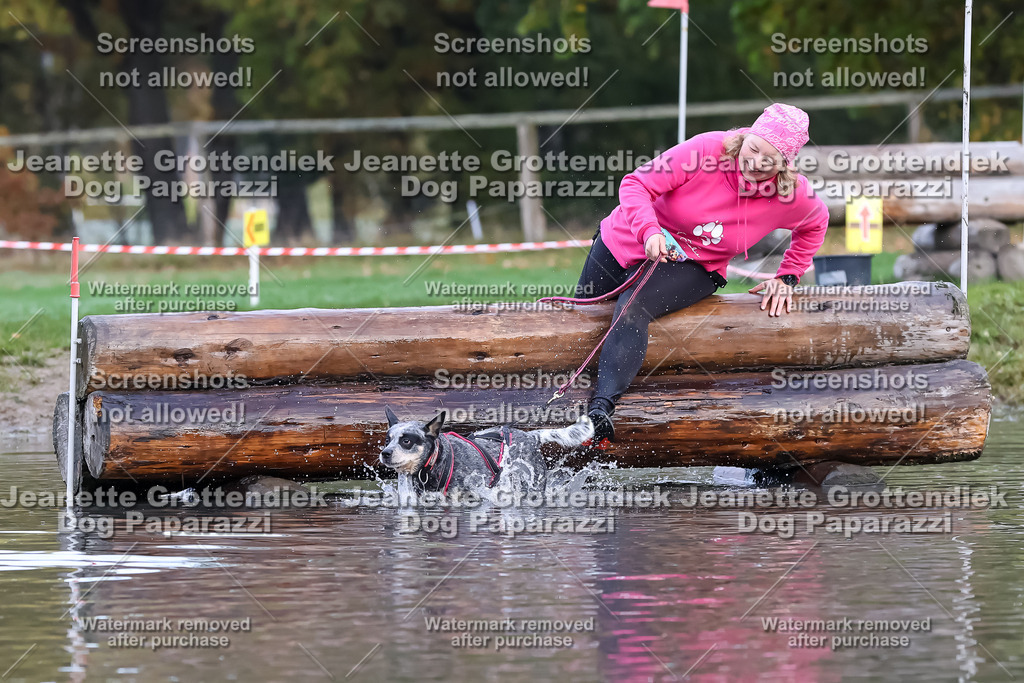 Dog Paparazzi - Strongdog 10-25-6535 | Dog Paparazzi Jeanette Grottendiek Fotografie & Videografie - Realisiert mit Pictrs.com