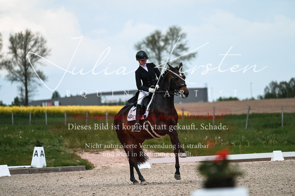 20230514_JK-Röhrsdorf-21-097 | Pferde- und Turnierfotografie in Westsachsen. Pferdeportraits, Auftragszeichnungen und intuitive Kunst.