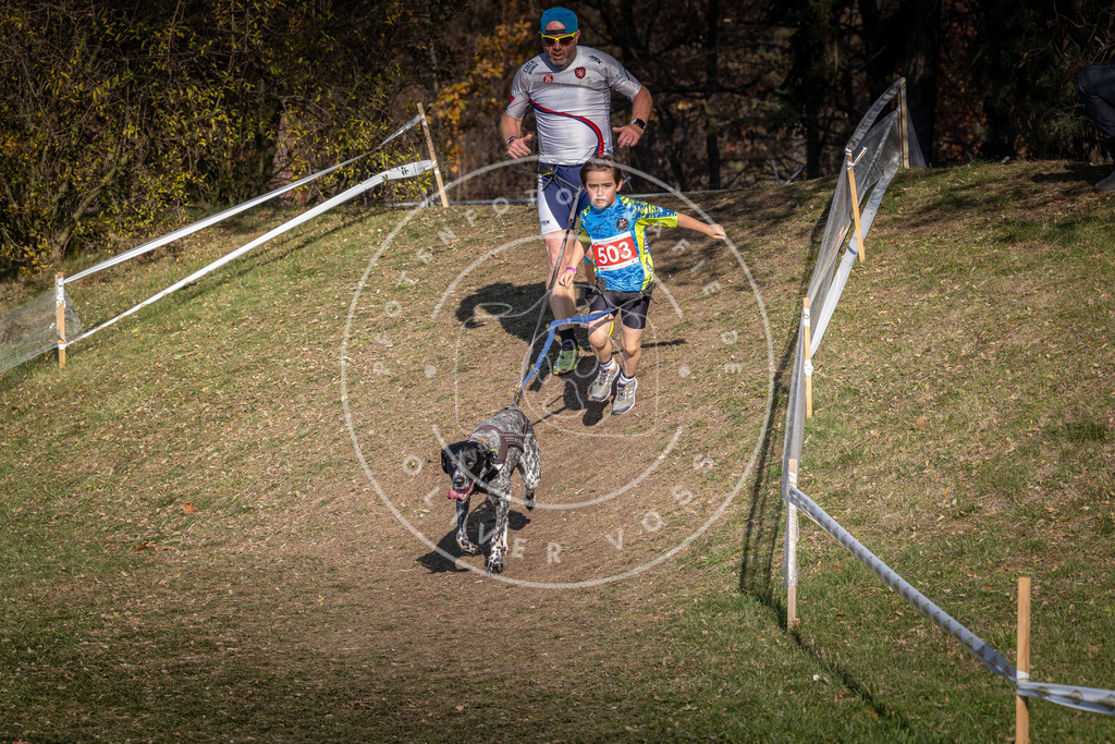 CaniXpix_0L8A8472 | Hundefotografie, Tierfotograf, Pfotenfotografie, Fotoshooting Hund, Hunde Portrait, Hundesport, Hundeportraits, Heideshooting, Hunde, Sportfotograf, Hundefotograf, Turnierhundsport, THS,  - Realisiert mit Pictrs.com