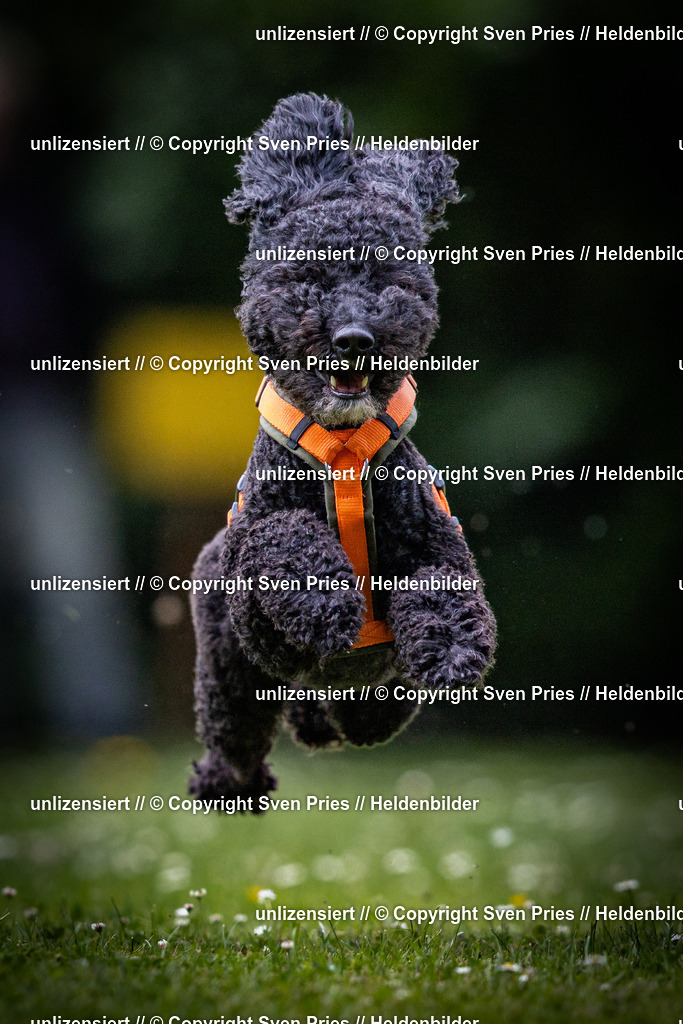 Sven Pries | 2025-05-29 - Pudelrennen KA-Durlach - Realisiert mit Pictrs.com