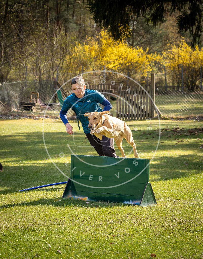 Pfotenfotografie_DV3A1447 | Hundefotografie, Tierfotograf, Pfotenfotografie, Fotoshooting Hund, Hunde Portrait, Hundesport, Hundeportraits, Heideshooting, Hunde, Sportfotograf, Hundefotograf, Turnierhundsport, THS,  - Realisiert mit Pictrs.com