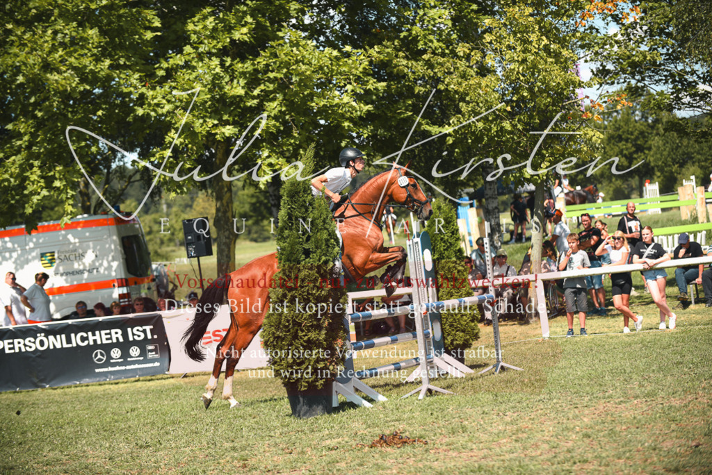 DSC_6586 | Pferde- und Turnierfotografie in Westsachsen. Pferdeportraits, Auftragszeichnungen und intuitive Kunst.