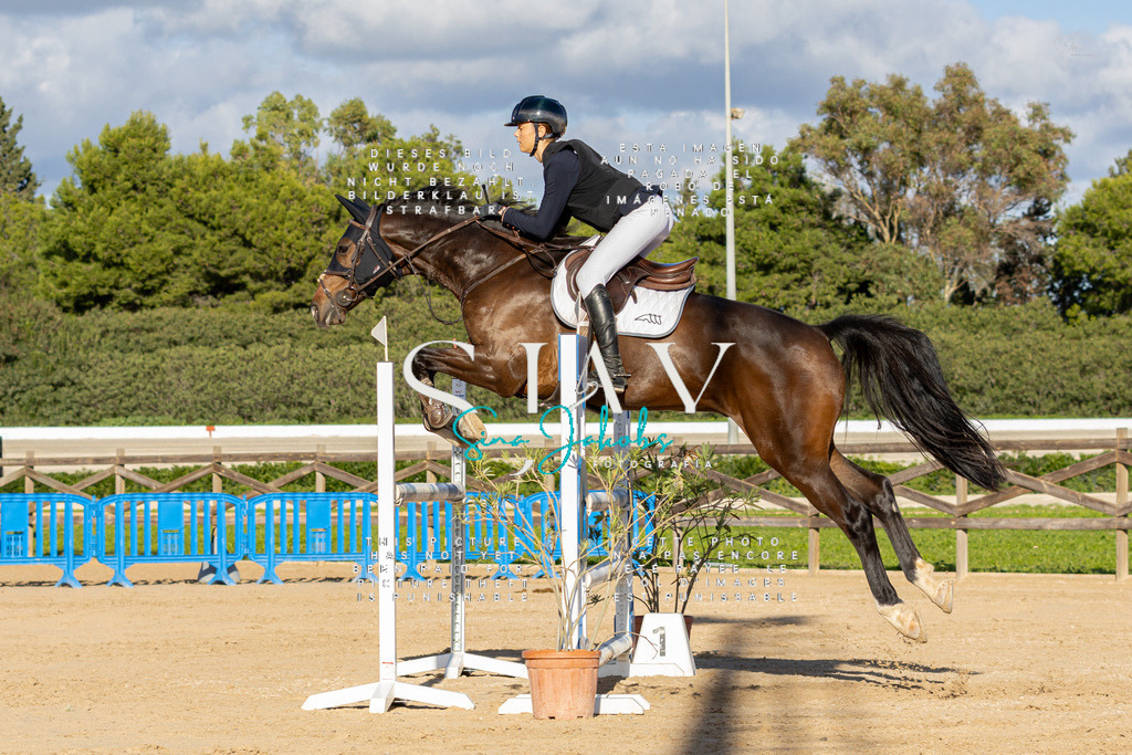 IMG_8115 | s-jay-photography - Realisiert mit Pictrs.com