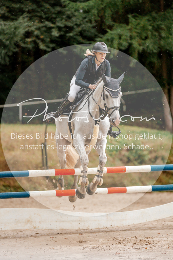 3I6A5681 | Stimmungsvolle Portraits und Reitsportfotografie im Ruhrgebiet und im Münsterland.

Pferdefotografie, Hundefotografie, Tierfotografie, Reportagen, Portraits von Tier und Mensch, Turnierfotografie in Bochum, Recklinghausen, Marl, Haltern am See, Dülmen.. - Realisiert mit Pictrs.com