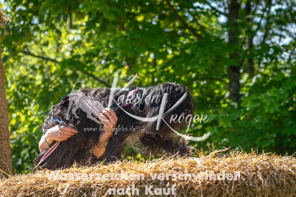 1036STR_5491 | kk-dogfotos