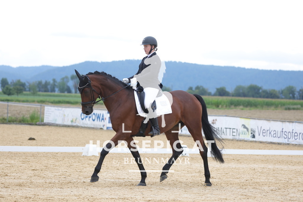 0P6A8206 | Willkommen bei Brunnmayr - Design & Fotografie – Ihrem Spezialisten für Reitturniere und Pferdeveranstaltungen in Oberösterreich, Salzburg und Bayern! Seit über 17 Jahren sind wir leidenschaftlich dabei.