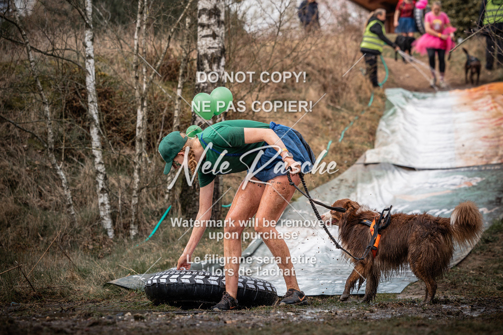 nelerasche_1330-1400_159 | nelerasche