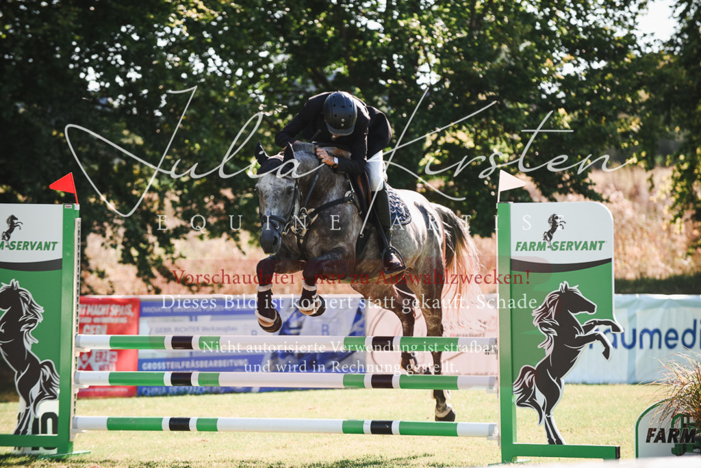 DSC_2367 | Pferde- und Turnierfotografie in Westsachsen. Pferdeportraits, Auftragszeichnungen und intuitive Kunst.