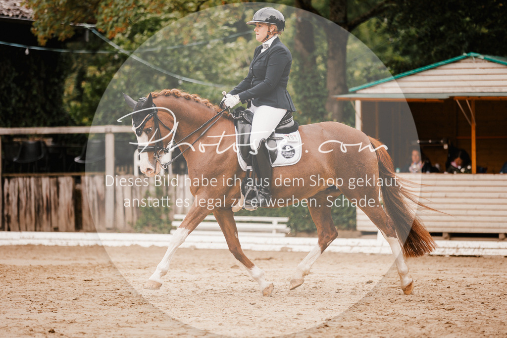 3I6A7802 | Stimmungsvolle Portraits und Reitsportfotografie im Ruhrgebiet und im Münsterland.

Pferdefotografie, Hundefotografie, Tierfotografie, Reportagen, Portraits von Tier und Mensch, Turnierfotografie in Bochum, Recklinghausen, Marl, Haltern am See, Dülmen.. - Realisiert mit Pictrs.com