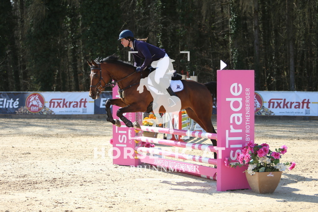 DL2Q8252 | Willkommen bei Brunnmayr - Design & Fotografie – Ihrem Spezialisten für Reitturniere und Pferdeveranstaltungen in Oberösterreich, Salzburg und Bayern! Seit über 17 Jahren sind wir leidenschaftlich dabei.