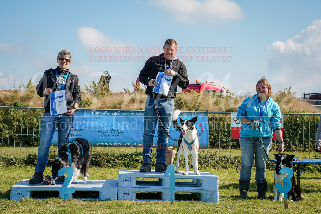 20250928_Hunderennen-759 | MuT (Mensch und Tier) mit Mona - Fotografie und Tierkommunikation - Realisiert mit Pictrs.com