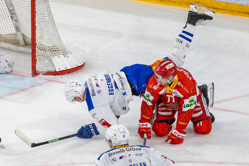 EHCB vs EVZ 20260227_WB-7245-2 | Sportbilder, Sportfotograf, Hochzeits- und Eventfotografin, Flugshows, Portraits und Tiershooting, Aviation, Downhill, Nationalleague, Swissleague, International