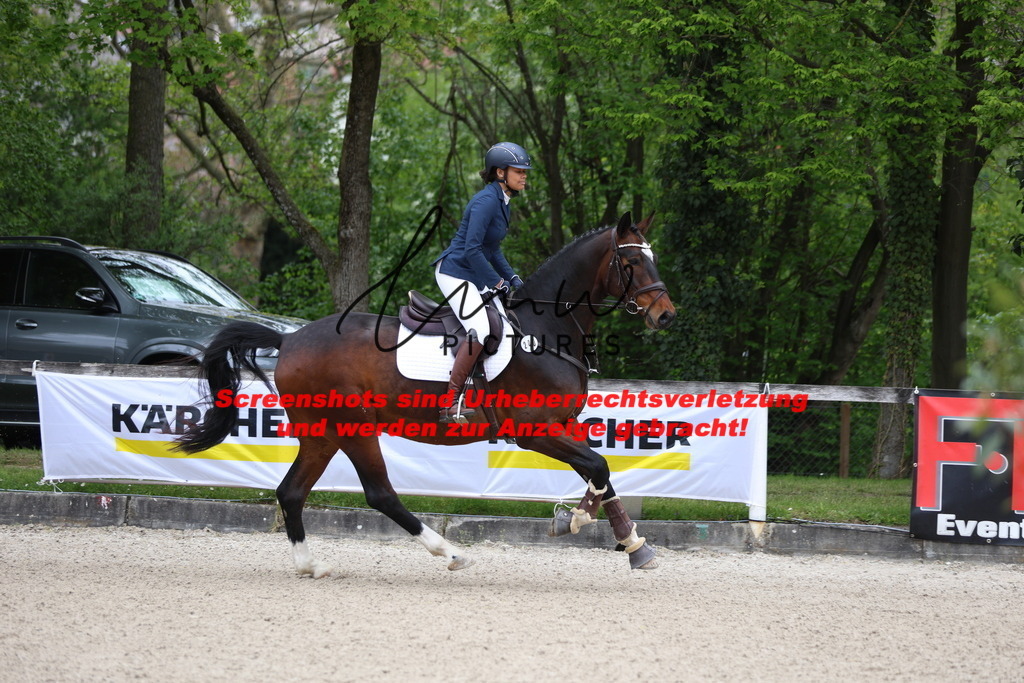 A40A4694 | lmwpictures - Realisiert mit Pictrs.com