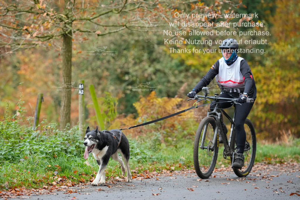 Bike_So-185 | stephaniefillaphotographie - Realisiert mit Pictrs.com