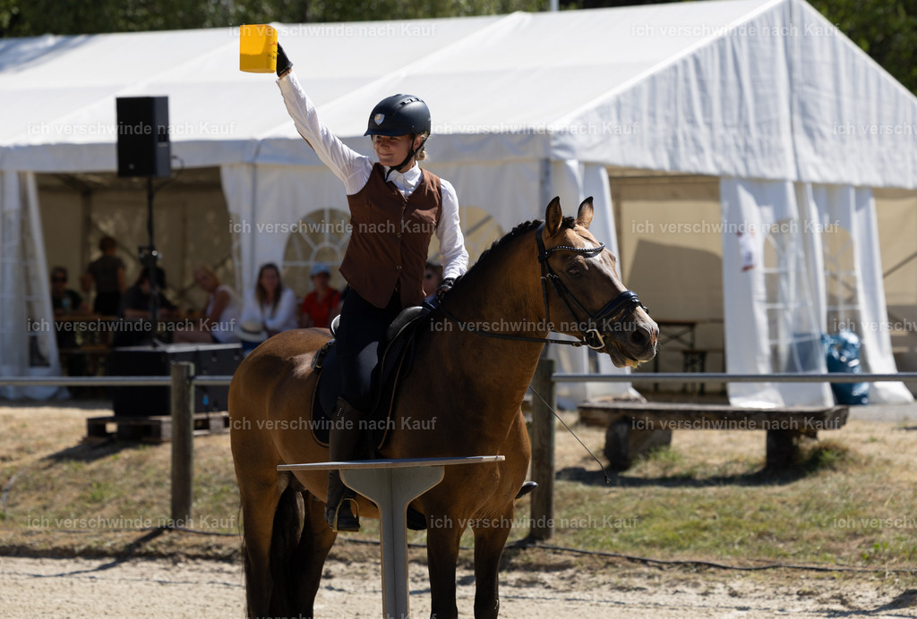 WE_Trail_23_KerstinBernhardt-25 | working equitationturnier fotograf videograf stoibphotography marixx film working equitation deutschland reitsport turnierfotografie eventfotografie equestrian events