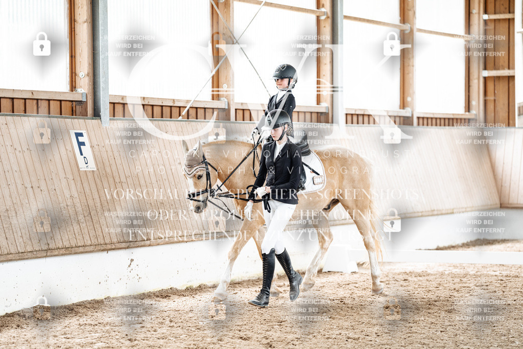 CK901832 | Turnierfotografie Pferdefotografie Trier Rheinland-Pfalz Pferdesport Reitsport Tierfotografie Sportfotografie Pferdevideo Pferdevideografie Equestrianvideography equestrianphotography  - Realisiert mit Pictrs.com