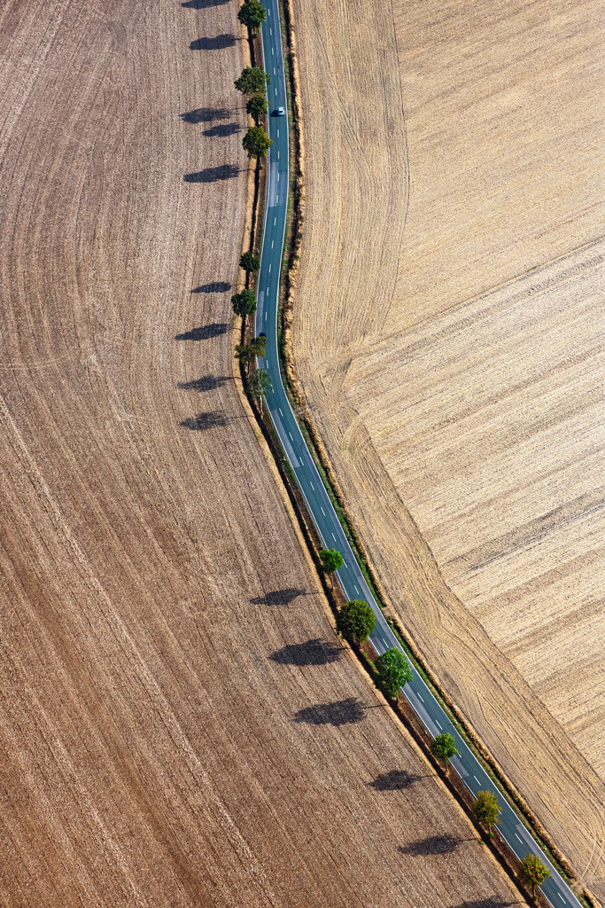 dr__0097720.jpg | TONNA 26.08.2022 Abgeerntete Kornfeld-Strukturen Landschaft auf einem Getreidefeld in Tonna im Bundesland Thüringen, Deutschland.