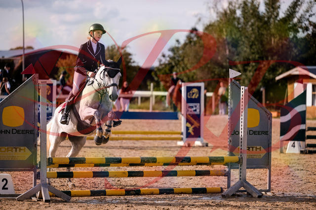 2026_10_03_Siefer-Hof_155117_Z81_69931059 | Professionelle Reitsport-, Turnier- und Eventfotografie von Robert Broda. Galerien mit ausgewählten und bearbeiteten Bildern direkt online ansehen und bestellen.