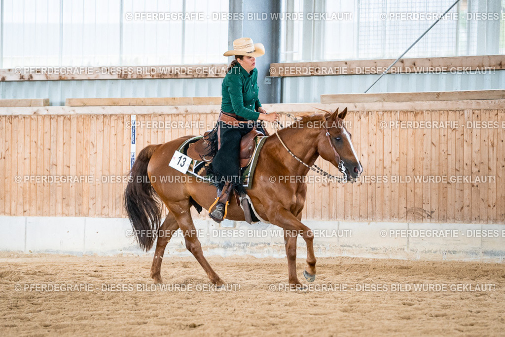 DSC03782 | Pferdegrafie