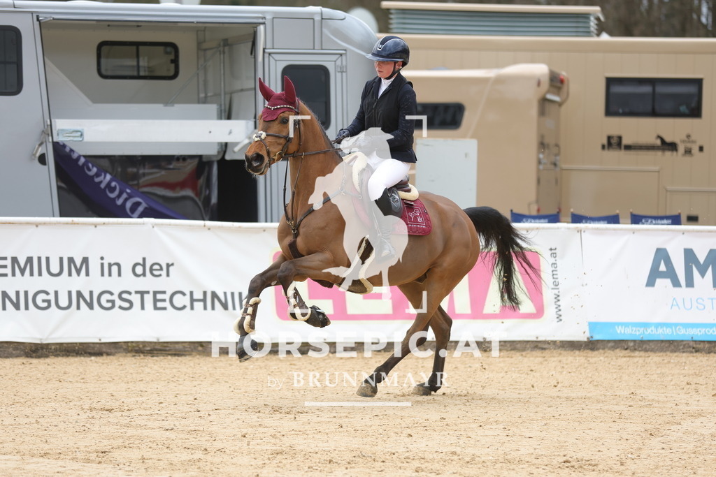 0P6A3452 | Willkommen bei Brunnmayr - Design & Fotografie – Ihrem Spezialisten für Reitturniere und Pferdeveranstaltungen in Oberösterreich, Salzburg und Bayern! Seit über 17 Jahren sind wir leidenschaftlich dabei.