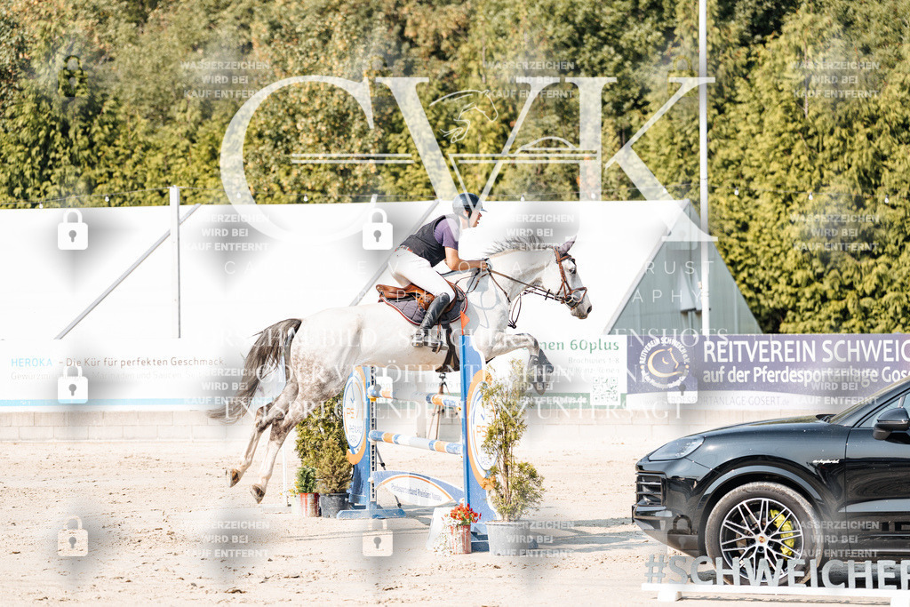 CK902550 | Turnierfotografie Pferdefotografie Trier Rheinland-Pfalz Pferdesport Reitsport Tierfotografie Sportfotografie Pferdevideo Pferdevideografie Equestrianvideography equestrianphotography  - Realisiert mit Pictrs.com