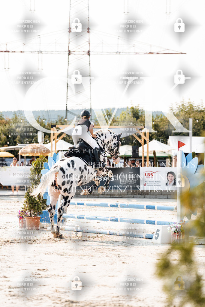 CK902809 | Turnierfotografie Pferdefotografie Trier Rheinland-Pfalz Pferdesport Reitsport Tierfotografie Sportfotografie Pferdevideo Pferdevideografie Equestrianvideography equestrianphotography  - Realisiert mit Pictrs.com