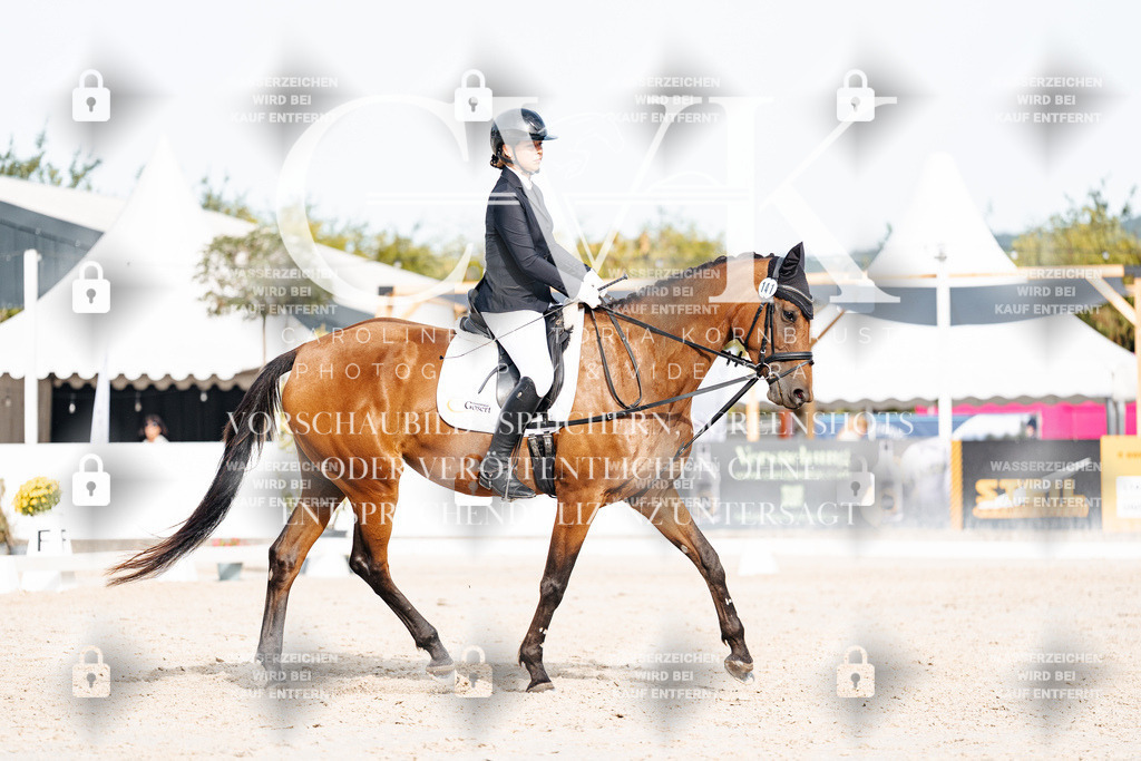 CK904903 | Turnierfotografie Pferdefotografie Trier Rheinland-Pfalz Pferdesport Reitsport Tierfotografie Sportfotografie Pferdevideo Pferdevideografie Equestrianvideography equestrianphotography  - Realisiert mit Pictrs.com