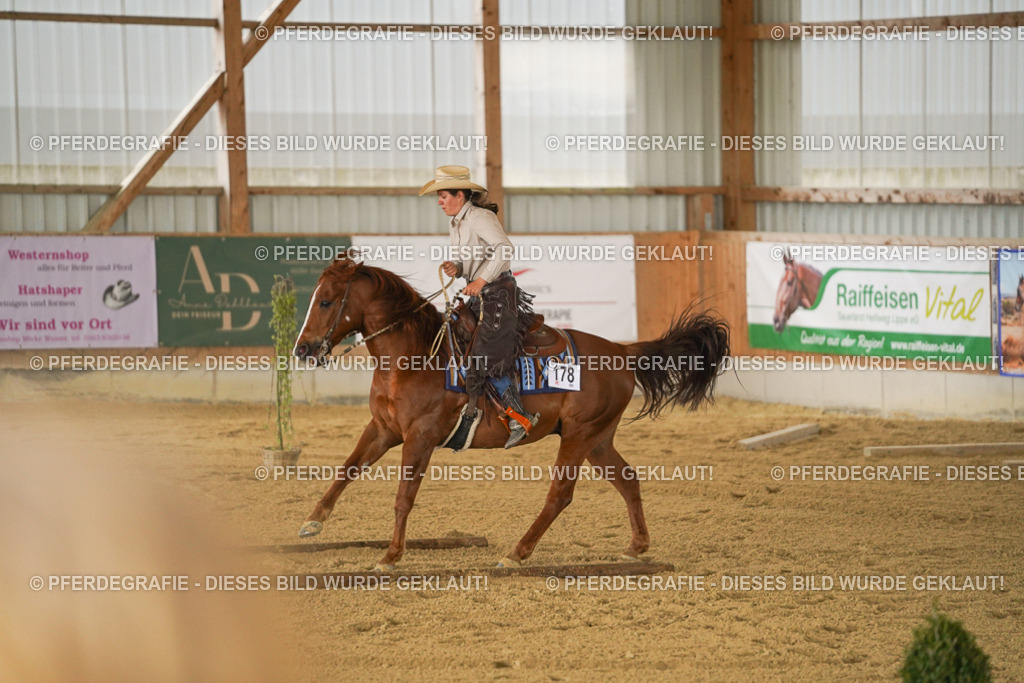 DSC03969 | Pferdegrafie