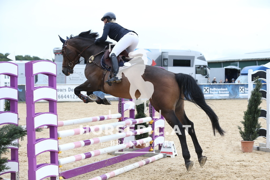 DL2Q5336 | Willkommen bei Brunnmayr - Design & Fotografie – Ihrem Spezialisten für Reitturniere und Pferdeveranstaltungen in Oberösterreich, Salzburg und Bayern! Seit über 17 Jahren sind wir leidenschaftlich dabei.