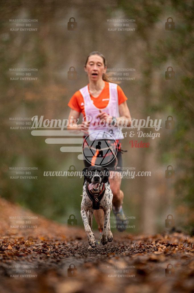 SPA_2023_DIM_CCL-89 | PayLife