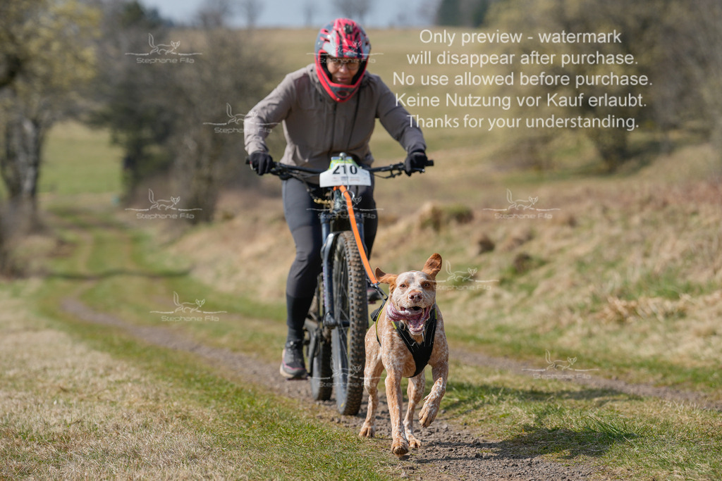 Bike_Lang-240 | stephaniefillaphotographie - Realisiert mit Pictrs.com