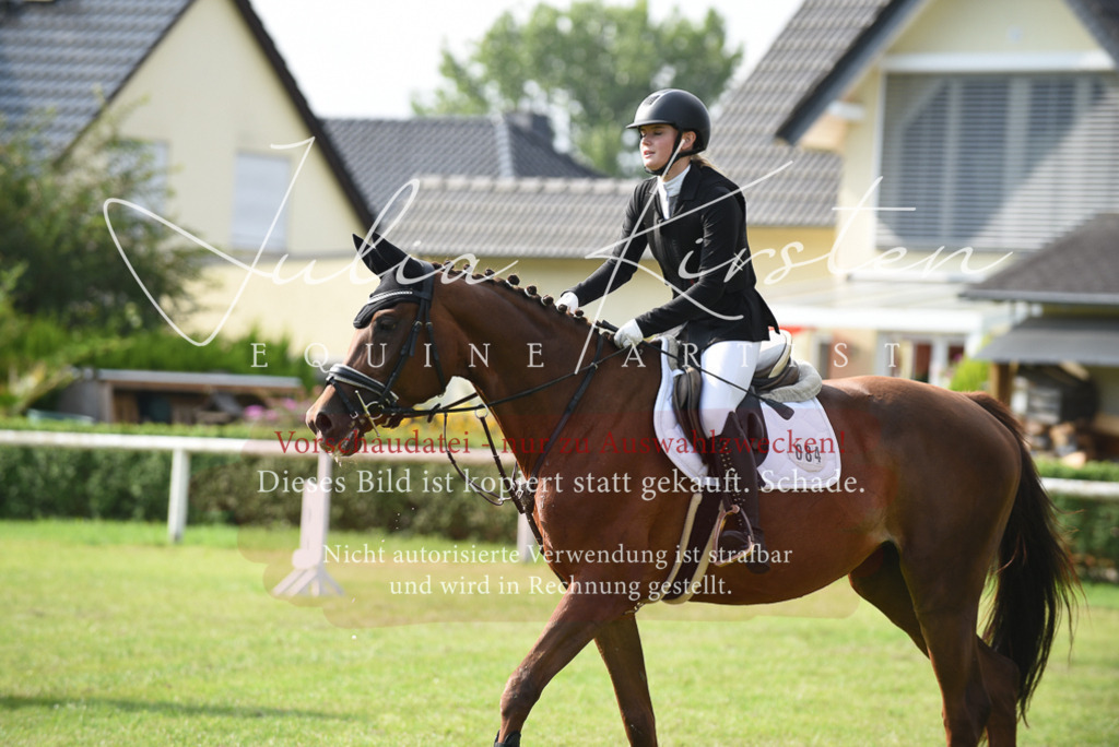 DSC_8791 | Pferde- und Turnierfotografie in Westsachsen. Pferdeportraits, Auftragszeichnungen und intuitive Kunst.