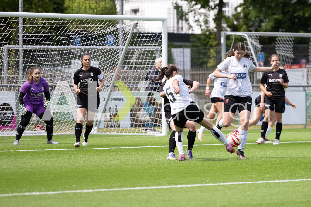 Fußball I Frauen I Saison 2025-2026 I Frauen 3. Liga | FVRZ Gruppe 2 | 18. Spieltag I Spielvereinigung Schaffhausen Damen 1 - Team Furttal Zürich I 17.05.2026 | Hochwertige Sportfotos kaufen & lizenzieren für Medien, Vereine, Agenturen & Sportler:innen. Entdecke professionelle Sportfotografie im Bildshop von Alexander Franzen. - Realisiert mit Pictrs.com