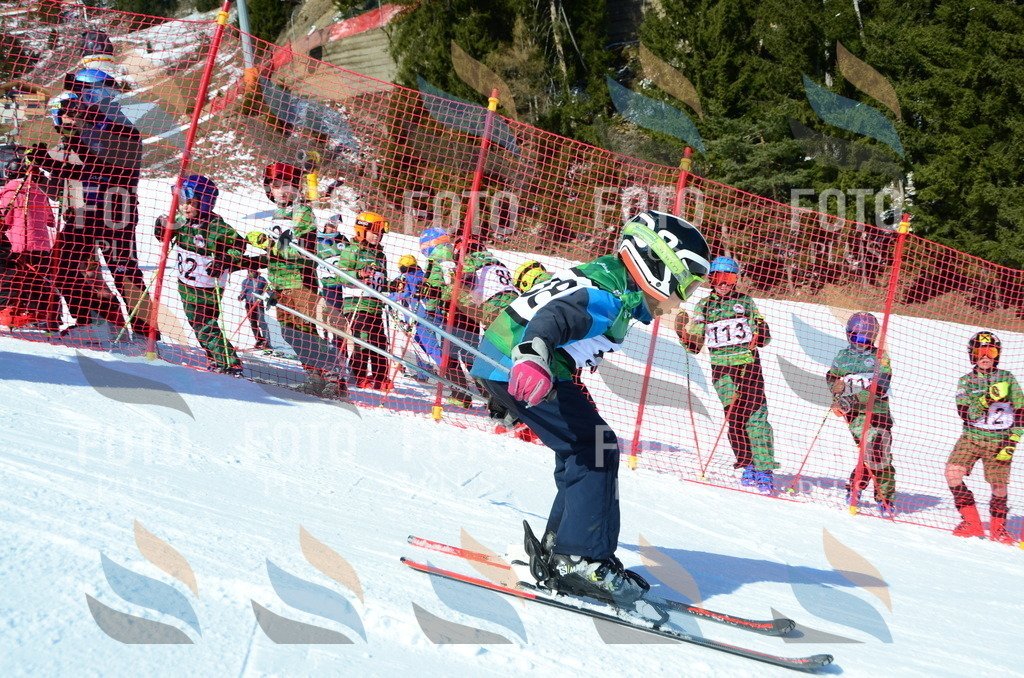 C5324 | holidayphoto