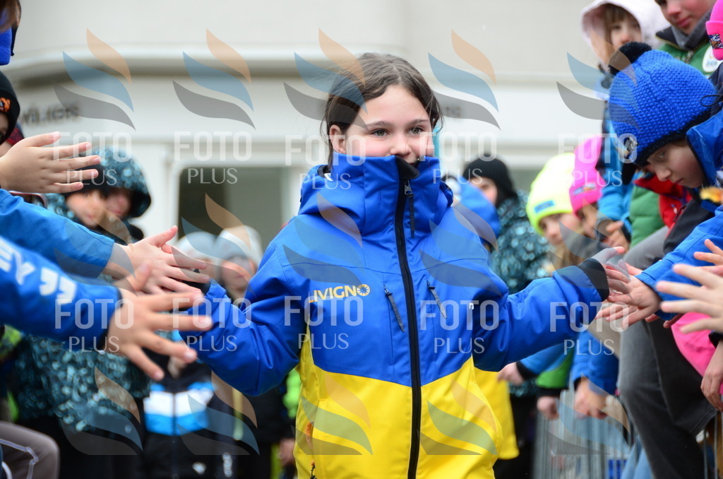 DSC_2654 | holidayphoto