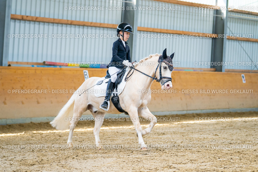 DSC07439 | Pferdegrafie